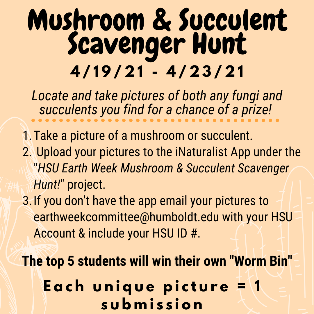 Image shows text against a tangerine/orange color background describing a Mushroom & Succulent Scavenger Hunt 4/19- 4/23. 