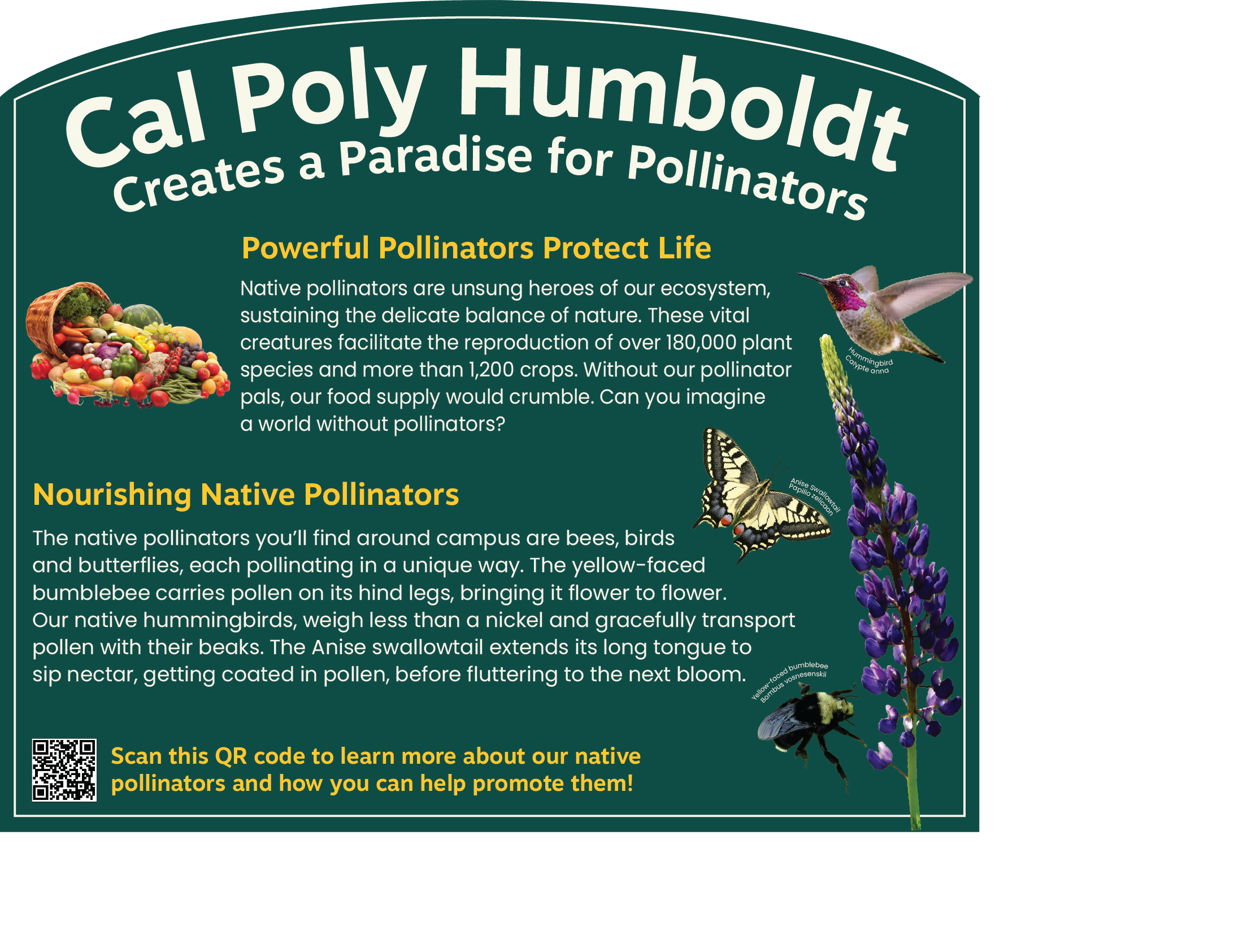 Image of the sign, "Cal Poly Humboldt Creates a Paradise for Pollinators"