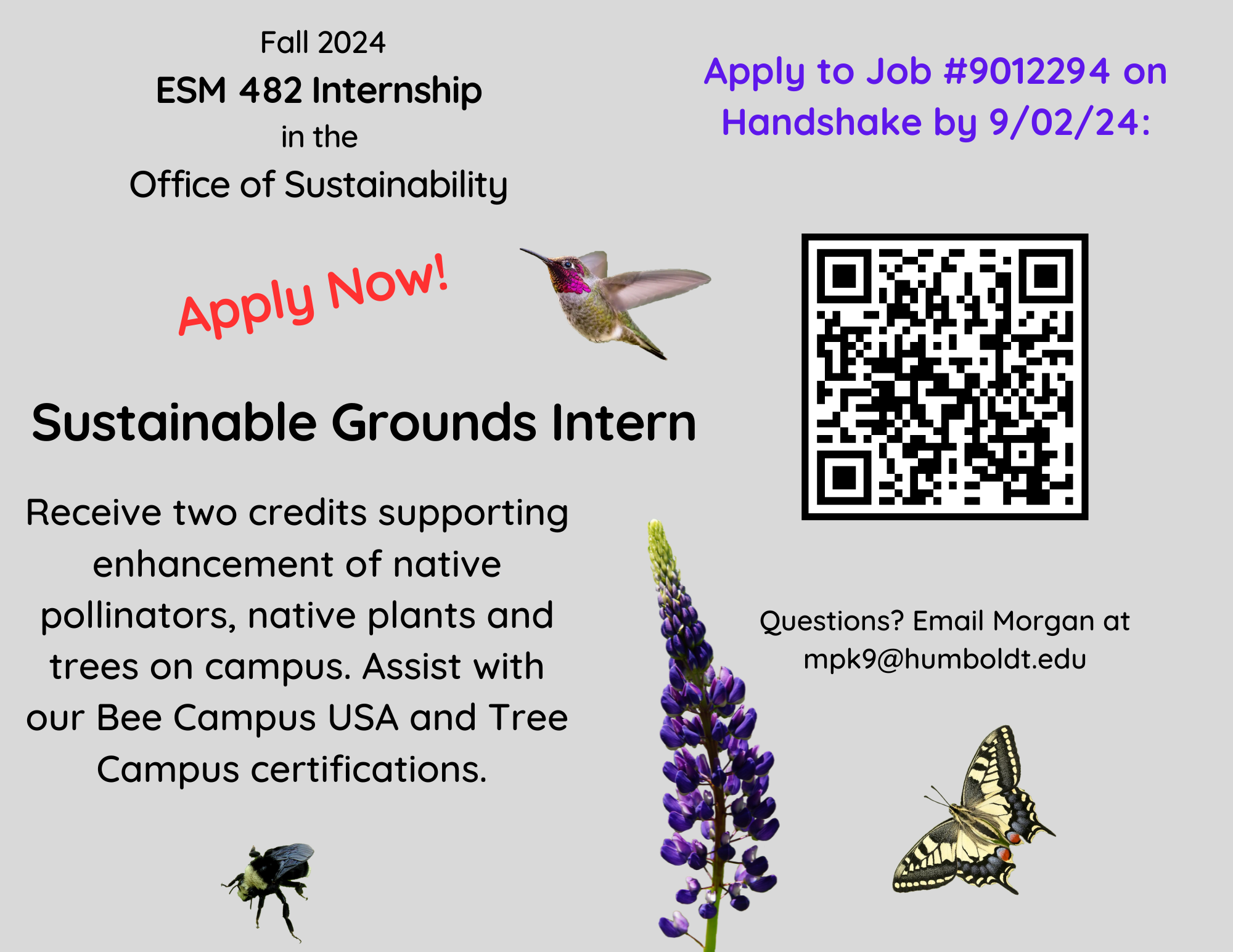 Flyer for Fall 2024 semester internship with the Office of Sustainability