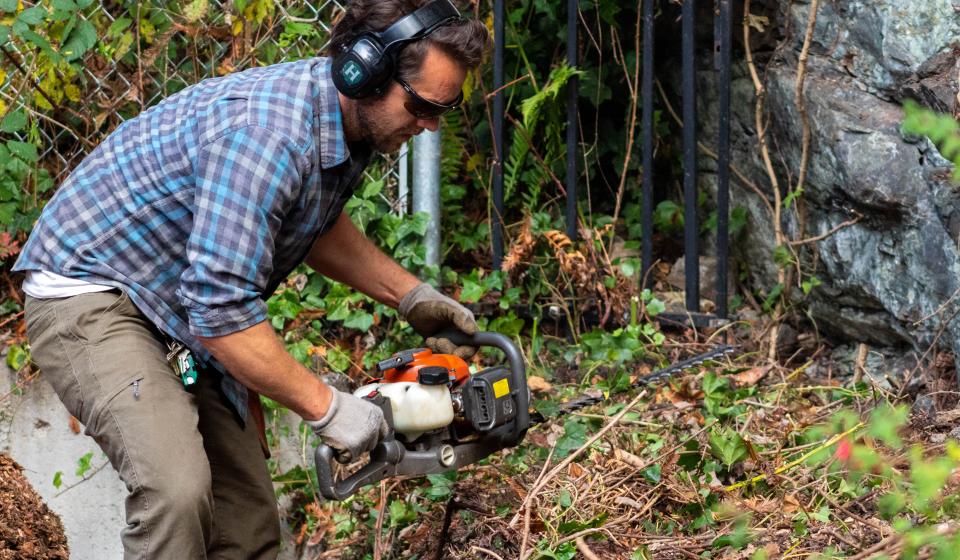 man using trimmer to cut plants down 