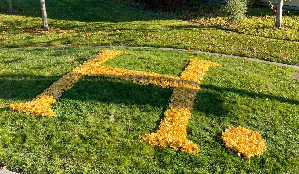 Large H. made out of yellow leaves on grass